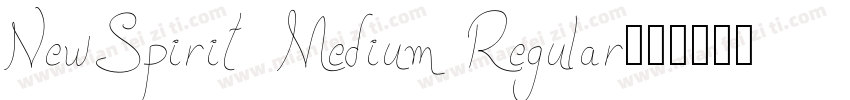 NewSpirit Medium Regular字体转换